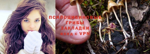 мескалин Новозыбков