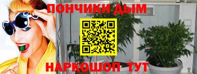 ПСИЛОЦИБИНОВЫЕ ГРИБЫ Аргун
