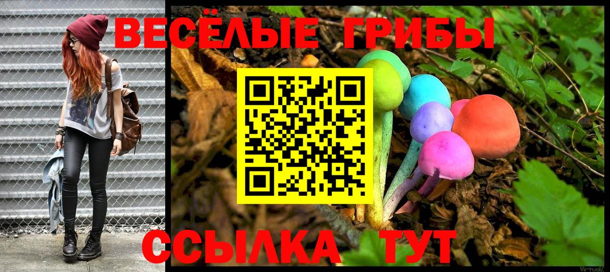 Псилоцибиновые грибы мухоморы Белгород